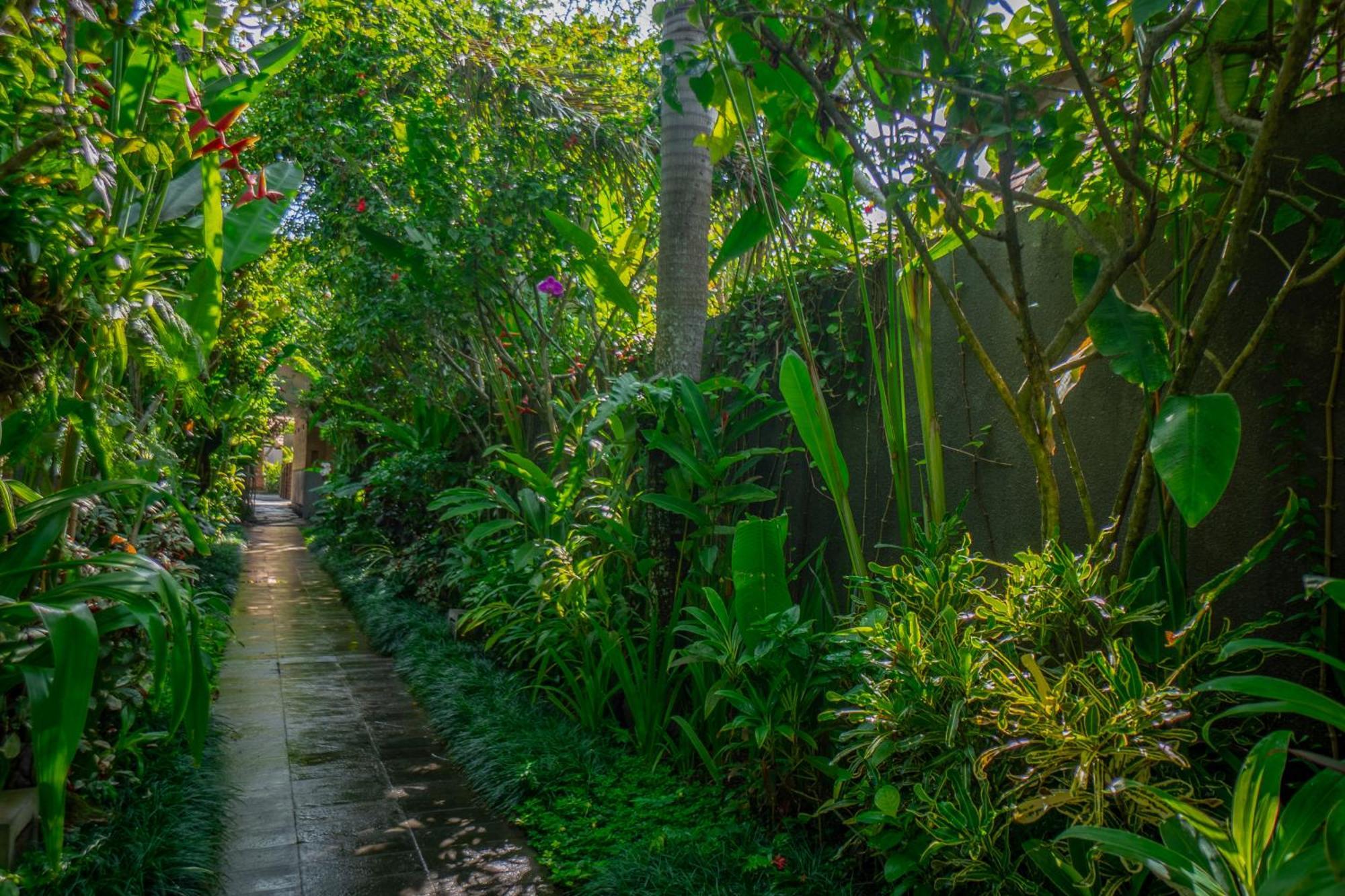 Resort Purana Boutique 5*